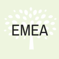 almara consulores emea