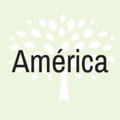 almara consultores america