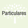 almara consultores particulares