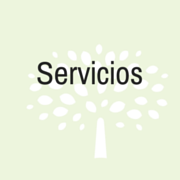 almara consultores servicios1
