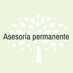 asesoria permanente