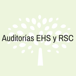 auditoria ehs rsc