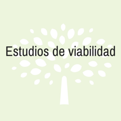 estudio viavilidad