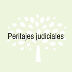 peritaje judicial