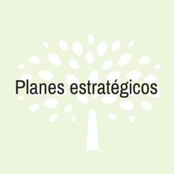 planes estrategicos