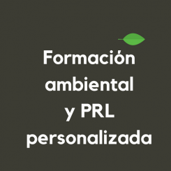 Formacion-personalizada