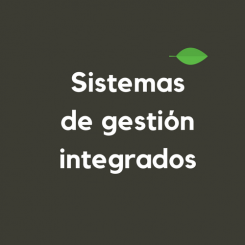 Sistemas-gestion